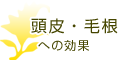 頭皮・毛根への効果